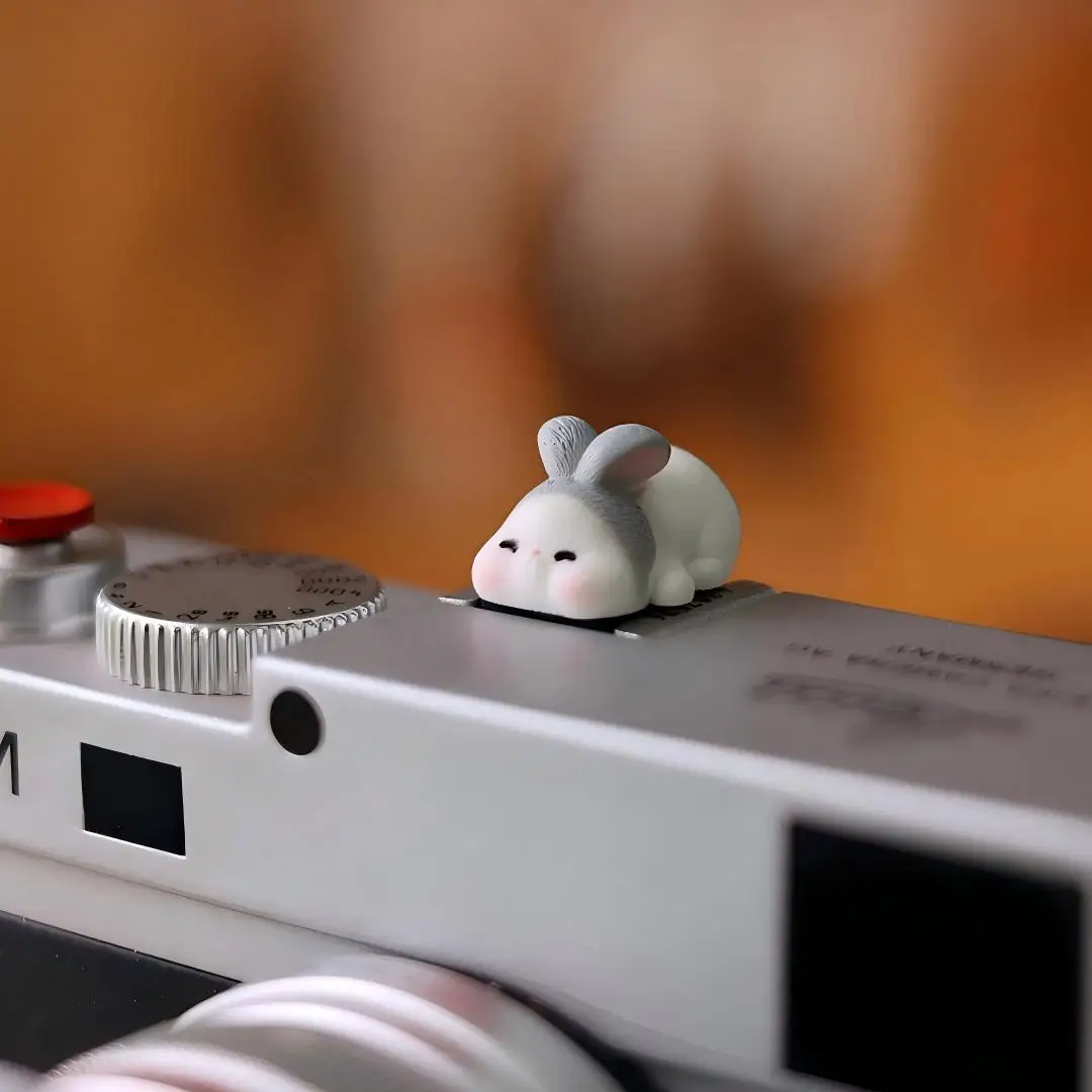 Pelindung Hot Shoe yang Lucu d - Sony Camera Zv-E10 ulasan dan harga